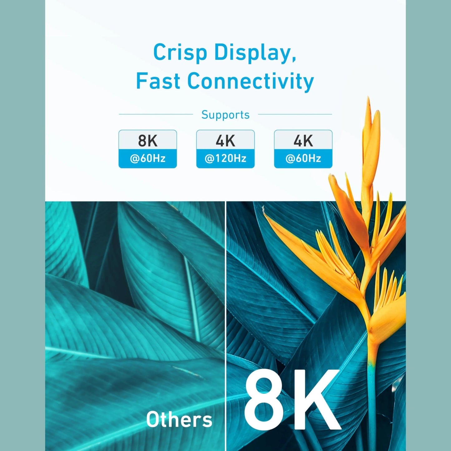 كابل إتش دي إم آي من أنكر (بطول 6 أقدام، 8K)